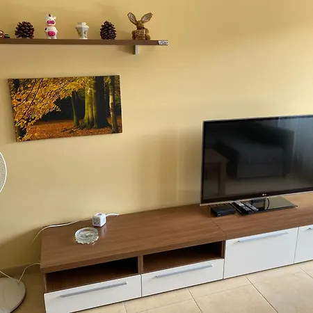 Apartment Fenals